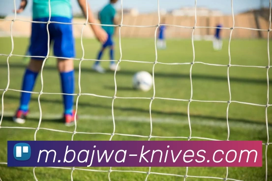 星空平台平台生态图